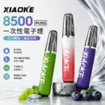 XIAOKE 梟客 8500口一次性電子煙 8.5mL油量 650mAh電池 Type-C快充 口紅外型輕巧便攜 20種特調口味 台灣現貨