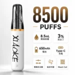 XIAOKE 梟客 口紅款 8500口一次性電子煙 8.5ml大容量 Mesh網狀芯 3%尼古丁 氣流可調 Type-C快充 20種口味現貨